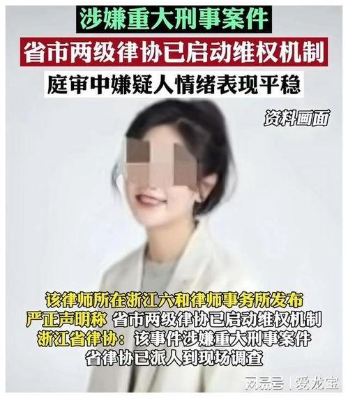 女律师被锤的爆料视频,真相揭露与舆论风暴